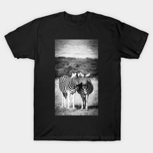 Two zebra standing. T-Shirt